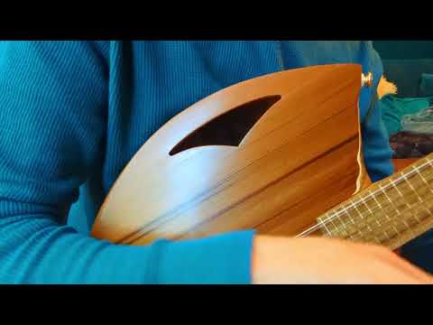 Raysrootworks 10 string shell back tenor ukulele. image 21