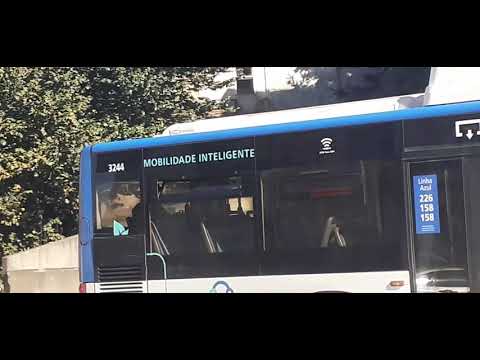 STCP Linha 805 Veiculo 3244