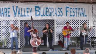 Sister Sadie - The Fugitive