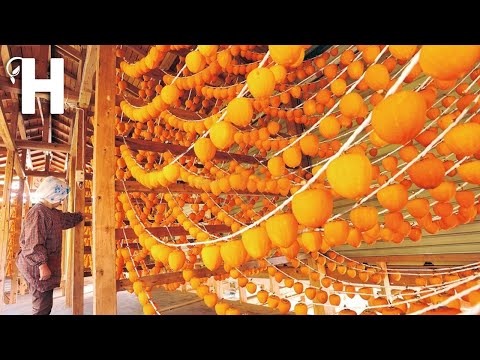 How Japanese Produce Millions Of Dried Persimmon (Hoshigaki) - Persimmon Harvesting @HappyFarm85​