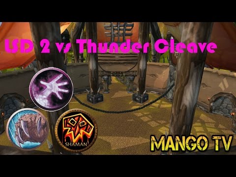 WoW Arena: LSD 2 vs Thunder cleave