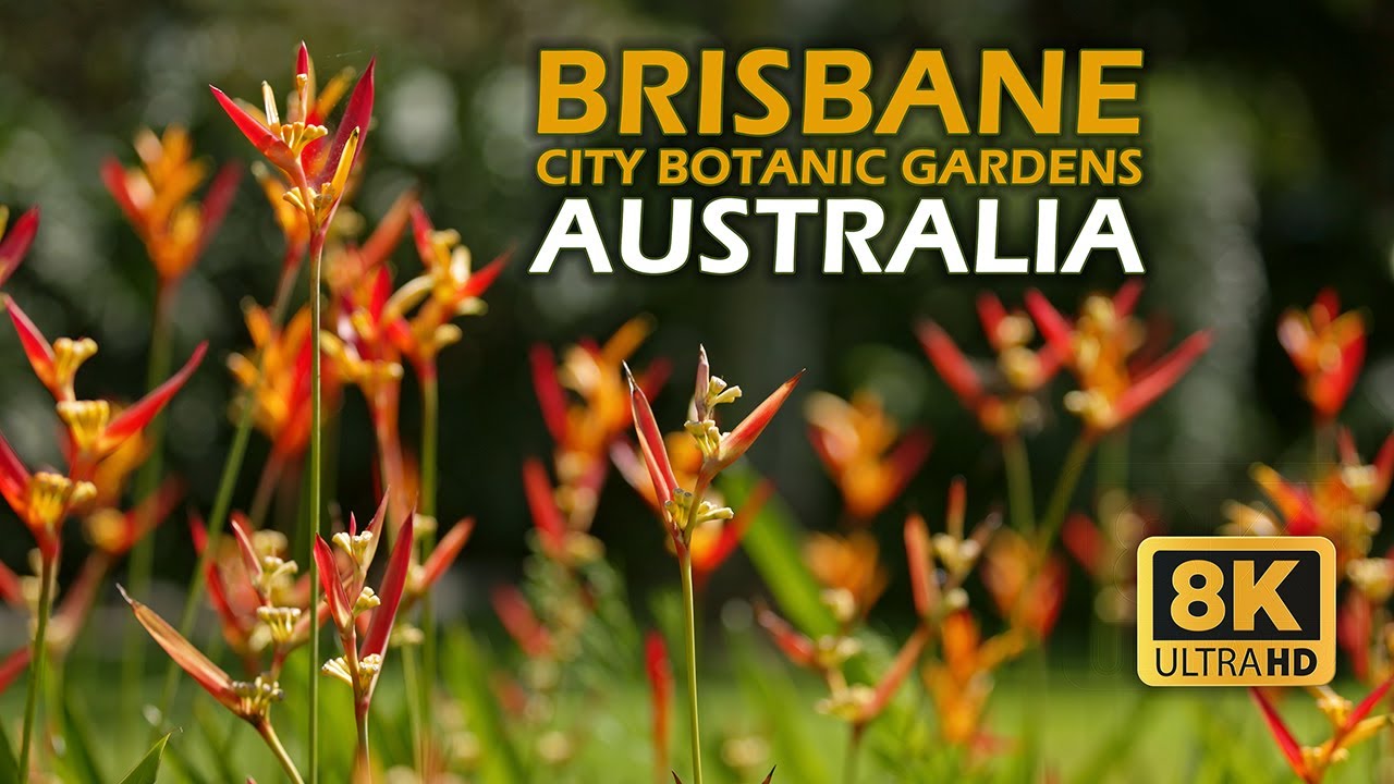 Experience the cinematic highlights of City Botanic Gardens.