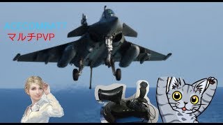 #19【音声無しエースコンバット7マルチPVP】飛行神経悪い人間No1の空猫がRAFALEでMVP を目指す。「フライト」