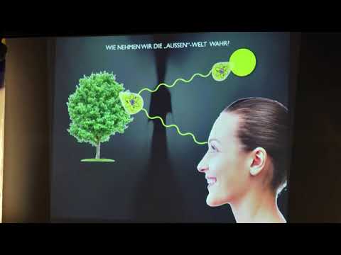 Realität & Illusion Tod - Johann Nepomuk Maier