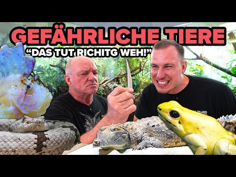 WARNING: POISONOUS! - Hannes has these DANGEROUS animals!