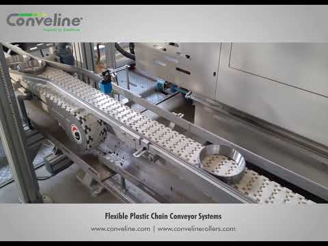 Flexible Chain Conveyor