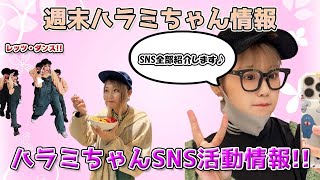 週末ハラミちゃん情報♪SNS活動情報紹介ほか　～元楽器屋店員の音楽ニュース～