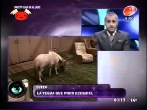 BENDITA TV 240 - NO PODES