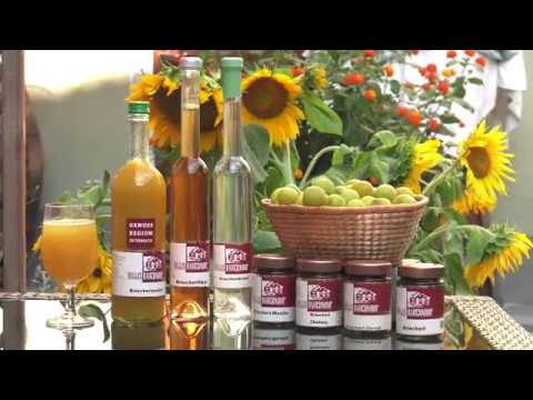 GENUSS REGION ÖSTERREICH  - Eine Idee bewegt das Land