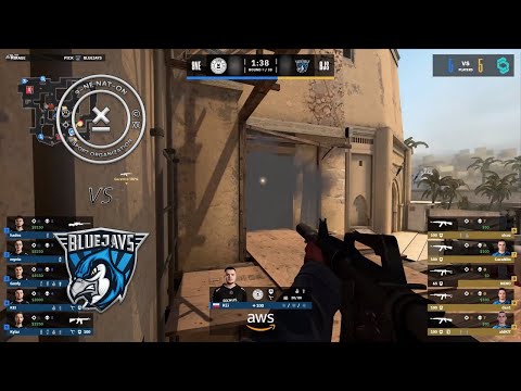 9INE vs Bluejays | CCT North Europe Series