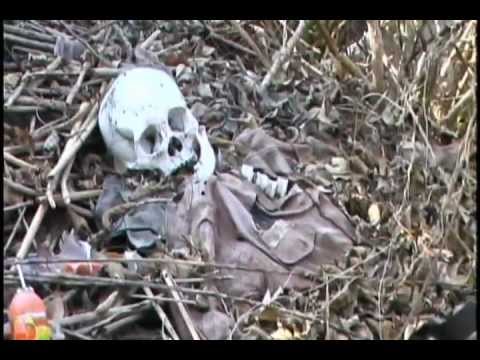 Koom Dai Ib Txoj Hlua by nplooj xyooj