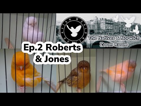 #2 Keeping & Breeding Norwich Canaries w/ Roberts & Jones | The Natives & Norwich Zoom Room