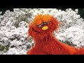 HBO LATINO PRESENTA SESAME STREET TEMPORADA 46 EPISODIC 4611 ABBY S FAIRY GARDEN