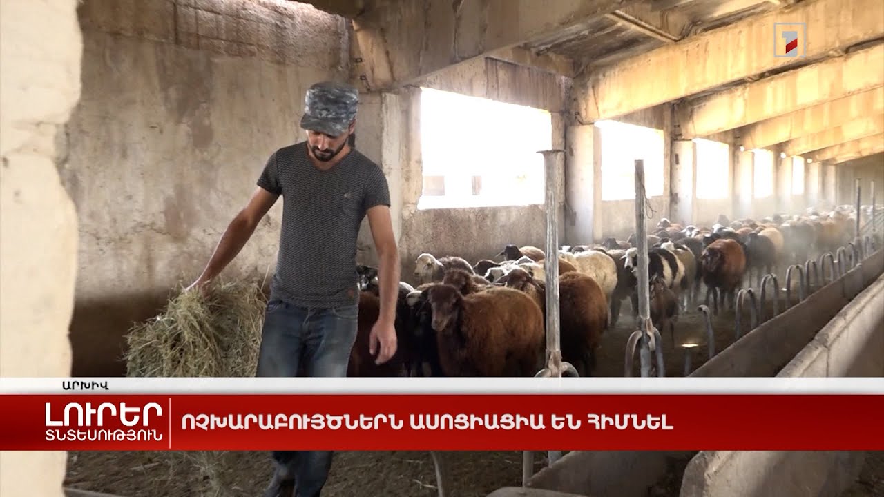 Ոչխարաբույծներն ասոցիացիա են հիմնել