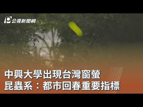 youtube影片