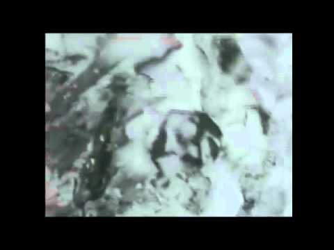 Cazare Pensiuni Sibiu - Cazat.ro