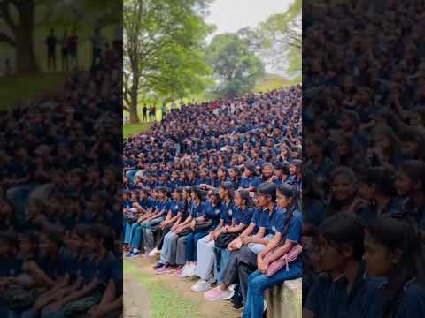 This feeling (university of peradeniya) #tranding #srilanka