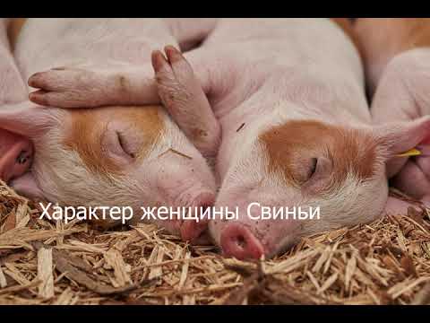 Женщина рождённая в год Свиньи