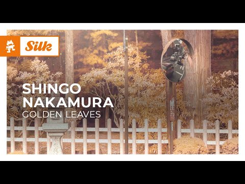 Video thumbnail for Golden Leaves