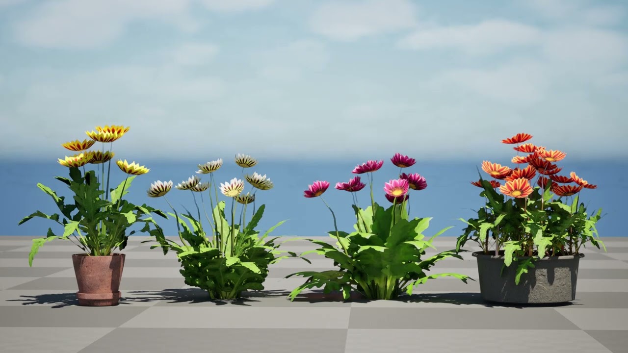 Southern Africa Gazania Flower 3D Model