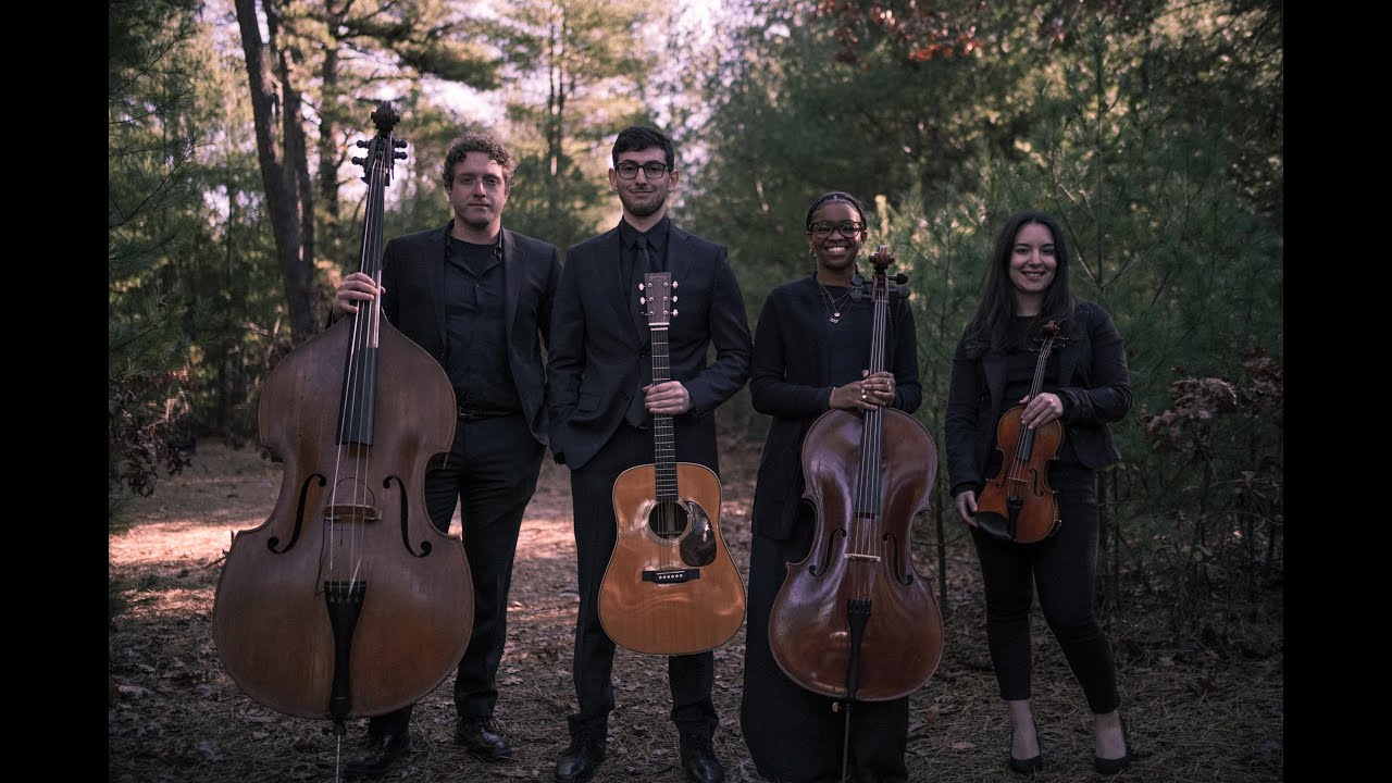 Promotional video thumbnail 2 for D'Amico Entertaintainment