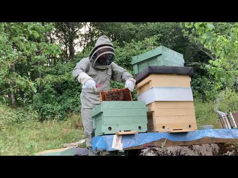 Fortsatt röveri på Blombacken ett utsatt bisamhälle flyttas 18 juli