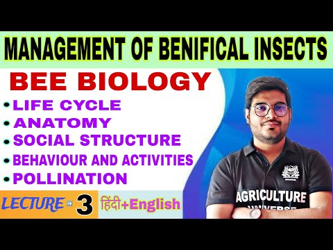 importance of beneficial insects management of benifical insects bsc agriculture 5th sem