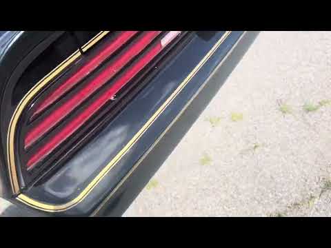 1978 Pontiac Firebird Trans Am (CC-1861180) for sale in Westford, Massachusetts