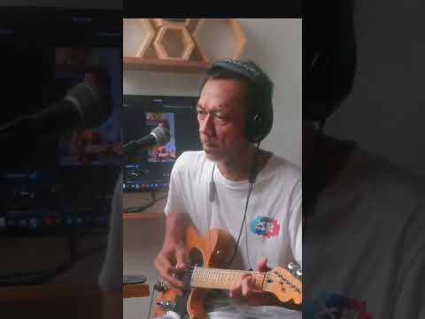 Little Wild One - The Wonders