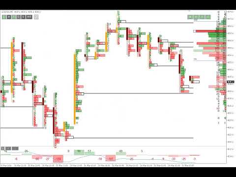Video Footprint and Order Flow for MT5