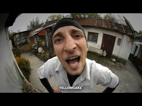 Psiha Delikvento - 27