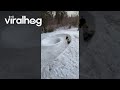 The Longer Winter Goes the Weirder the Tube Track Gets || ViralHog