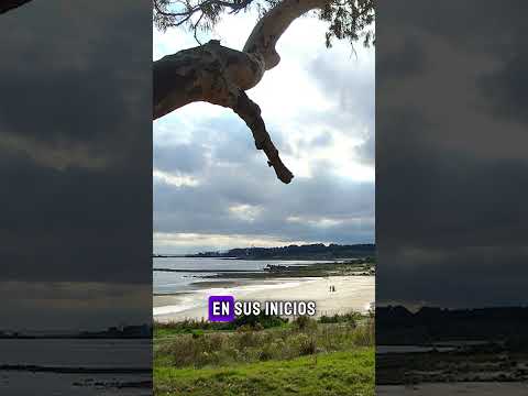 El Único Balneario de Montevideo 🇺🇾