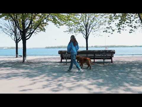 20 Richardson Street | Lighthouse Condominiums