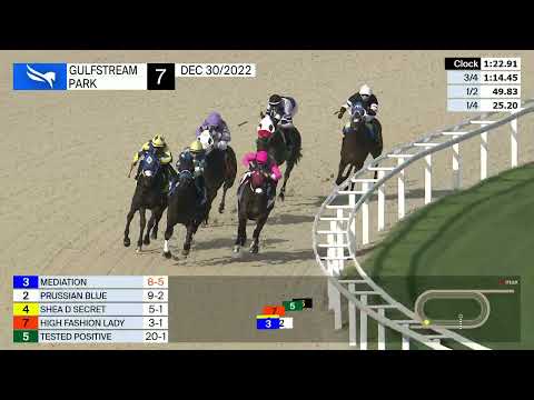 Shea D Secret Win Gulfstream Park Dec 30 2022