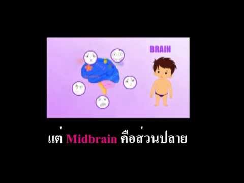 ครีมกับโรคสะเก็ดเงิน vulgaris ทำไมกลากทารก