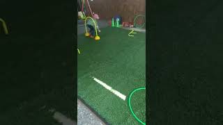SR Capital Public School Video