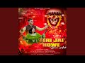 Teri Jai Howe Bawe Aali