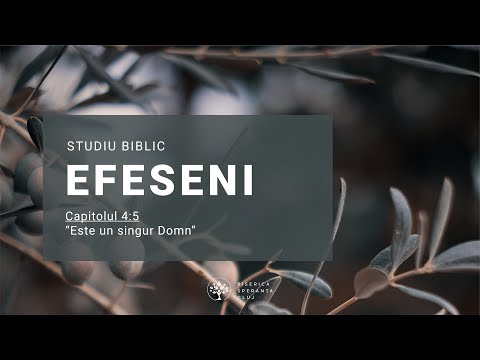 Studiu Efeseni | 09 Este un singur Domn | Bogdan Codrea