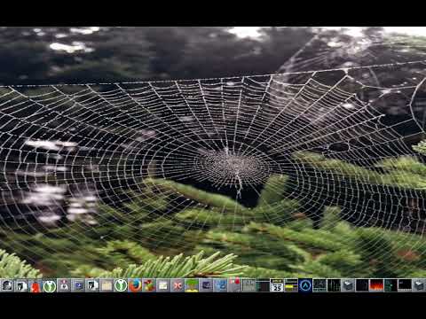 Window Maker + Arch + animated wallpaper test number three.