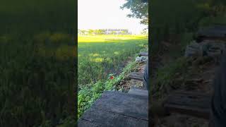 Download lagu Lali Janjine Yeni Inka OM ADELLA#storywa30detik mp3