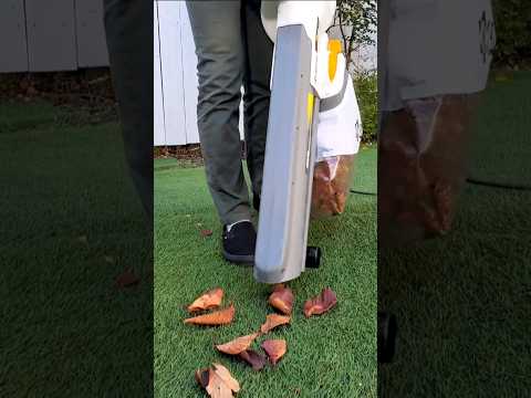 庭掃除に最適な道具は何ですか？リーフシュレッダーバキュームまたはリーフブロワー  庭園