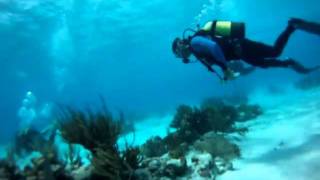 preview picture of video 'Bay of Pigs, Cuba  Second Dive 1/2 - April, 2011'