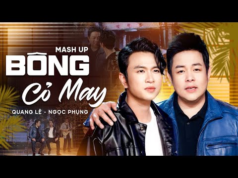 Mashup BÔNG CỎ MAY | Quang Lê ft. Ngọc Phụng | Nghe Một Lần Nhớ Suốt Đời 