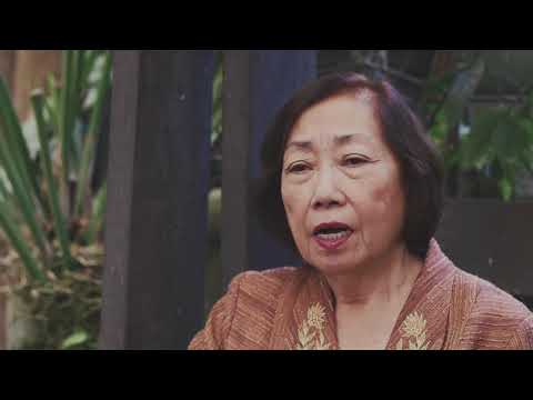 A Tree to Bar Experience