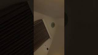 Download lagu STORY WA HALU DI HOTEL // STORY PENGINAPAN 4 mp3