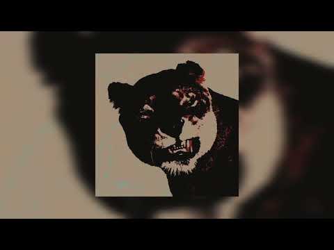 MiyaGi & Andy Panda x Namo Minigun - Кот (Official Audio)