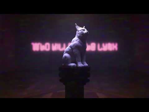 Questioner // Who Killed The Lynx