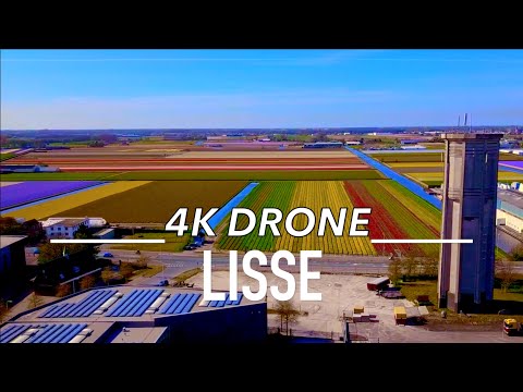 LISSE KEUKENHOF Drone 4K Amsterdam The Netherlands Holland