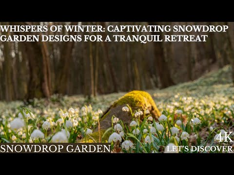, title : '“Whispers of Winter: Captivating Snowdrop Garden Designs for a Tranquil Retreat”'